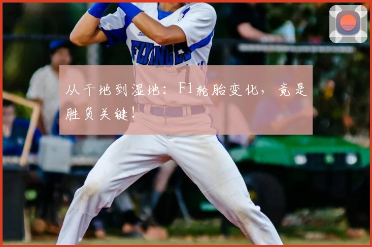 从干地到湿地:F1轮胎变化,竟是胜负关键!